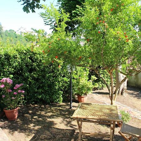 Le Coste Bed & Breakfast Veroli Exterior photo